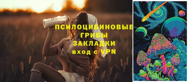 молекула духа Краснотурьинск